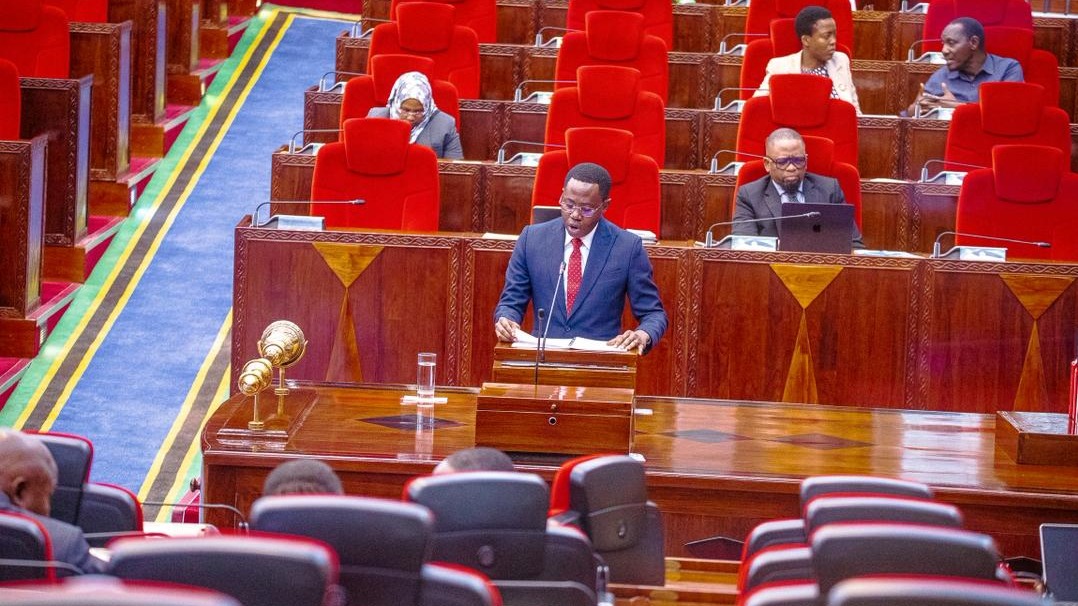 WIZARA YA VIJANA KUIMARISHA ELIMU YA URAIA, UZALENDO NA MWEGE WA UHURU NCHINI.