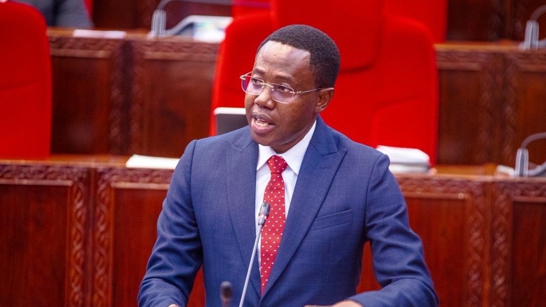 SERIKALI KUIMARISHA URATIBU NA USHIRIKISHAJI WA VIJANA